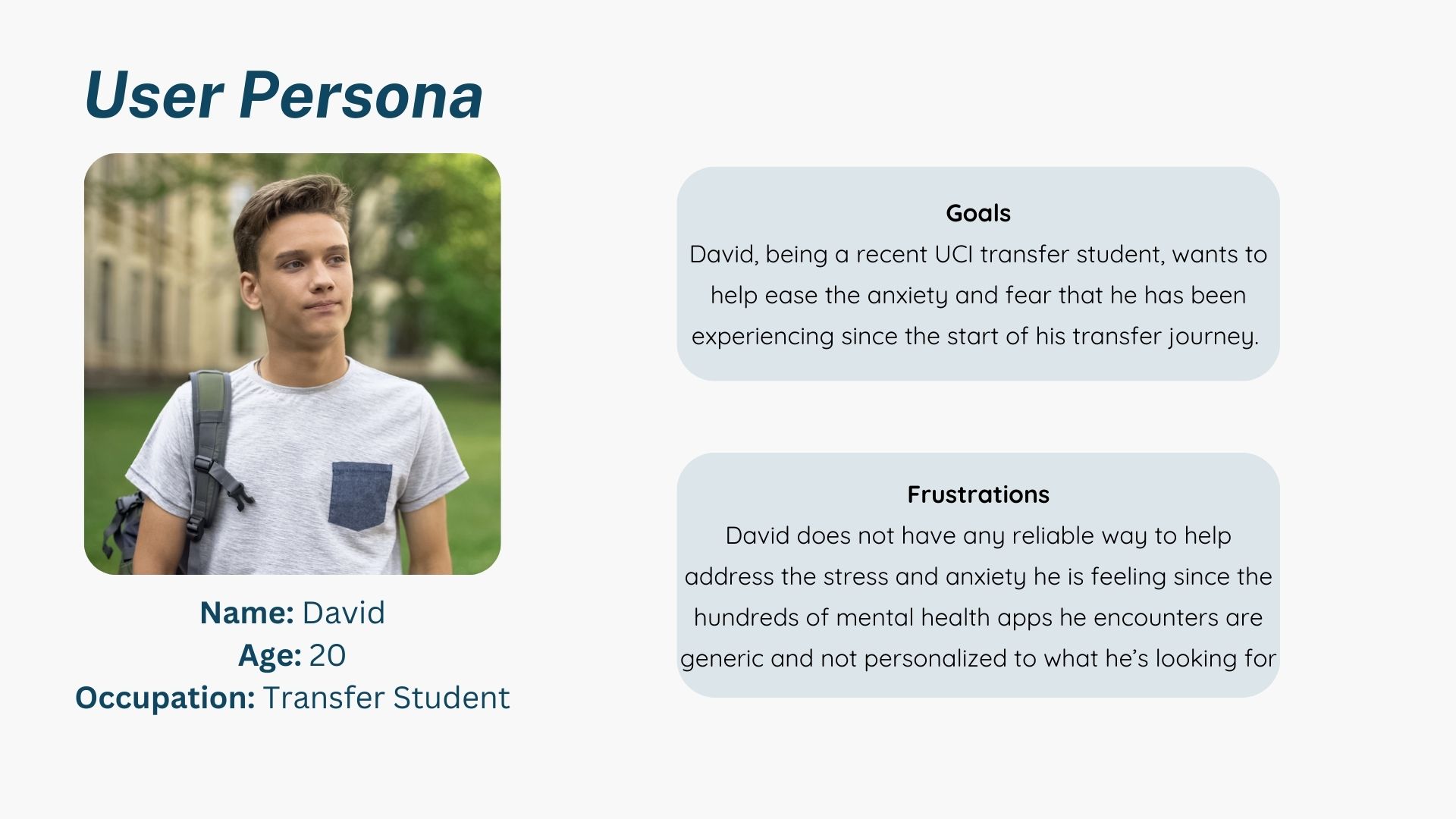 User persona of a transfer student named David
